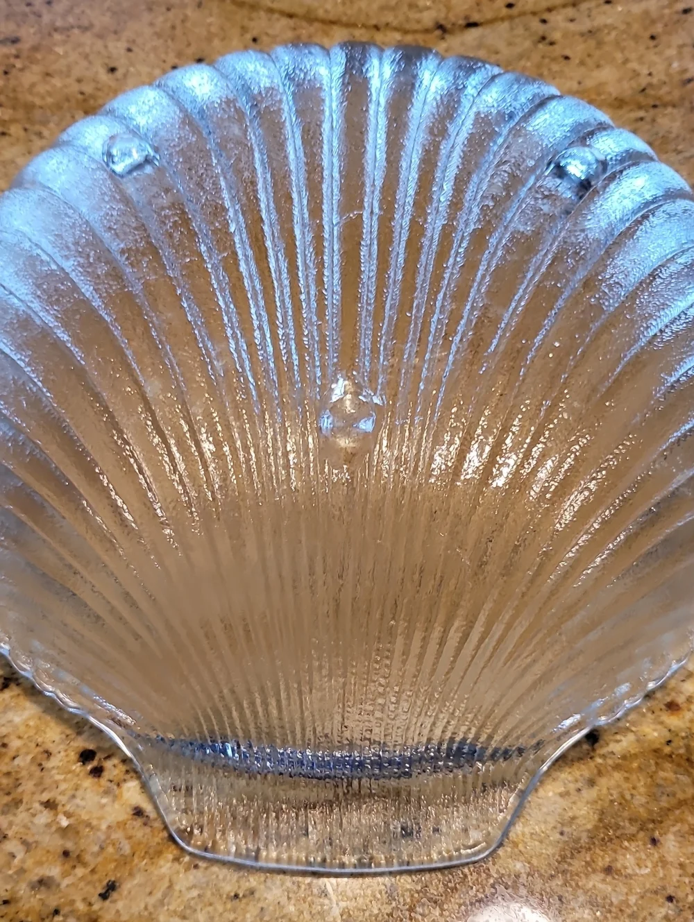 VTG Anchor Hooking Clear Glass Clam Shell Deep Round 11